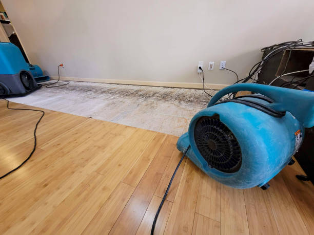 Professional Structural Drying technician working in Bingham Canyon, UT